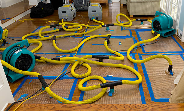 Professional Flood Damage Restoration technician working in Colon, NE