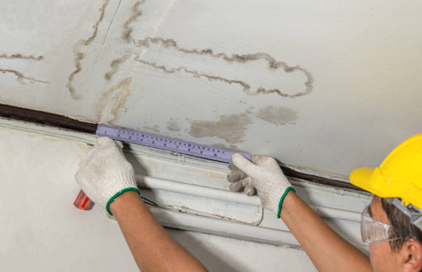 Affordable Flood Damage Restoration solutions in Colon, NE
